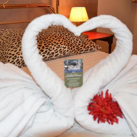 Bed & Breakfast Olmo