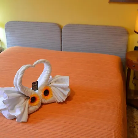 Olmo 4* Como